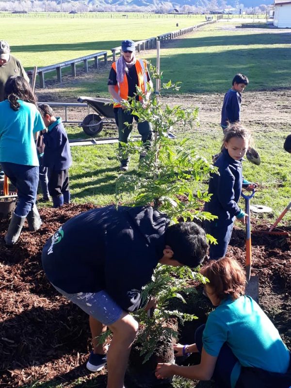 School Hours – Waimana School